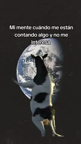 #CapCut #MemeCut #Meme #humor 