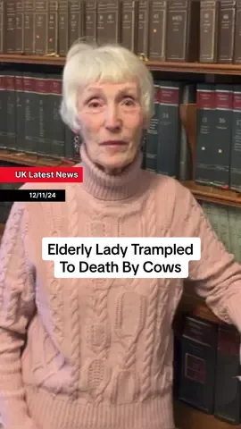 An elderly lady has been trampled to death by cows. 