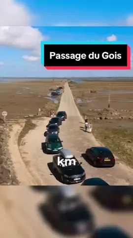 Le passage du Gois : la route qui disparaît deux fois par jour 🛣️🌊#lesaviezvous #passagedudesir #france #pourtoi #tendance #foryoupage❤️❤️ 