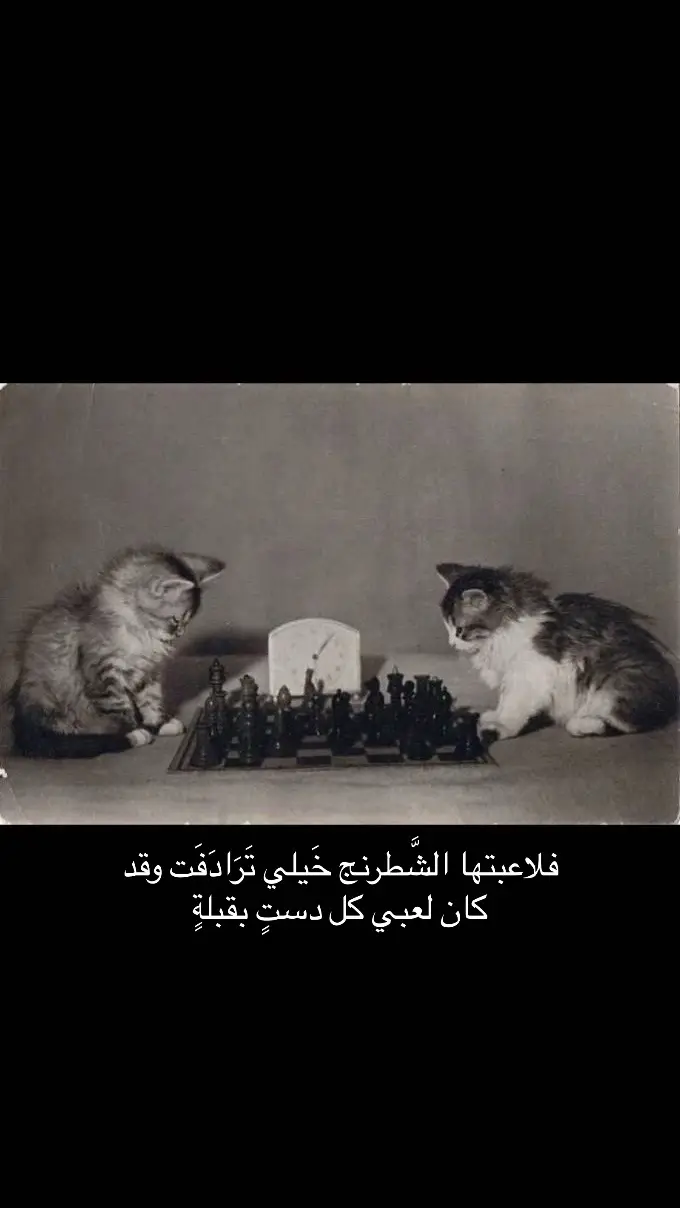 #طلال_مداح #explore #fy #fypシ゚viral #اكسبلورexplore #f #صوت_الارض #jeddah #foryourpage 