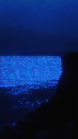 the day you disappeared #nostalgia #dreamcore #fyp #aesthetic #graphicdesign 