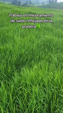 #pasto #ganado #leche #viral 