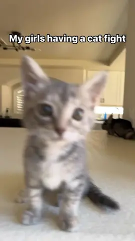 My favorite blankets for getting cozy!! @Bedsure #BedsureMarilynMonroeCollection #BedsureNewArrival #cozyseason 