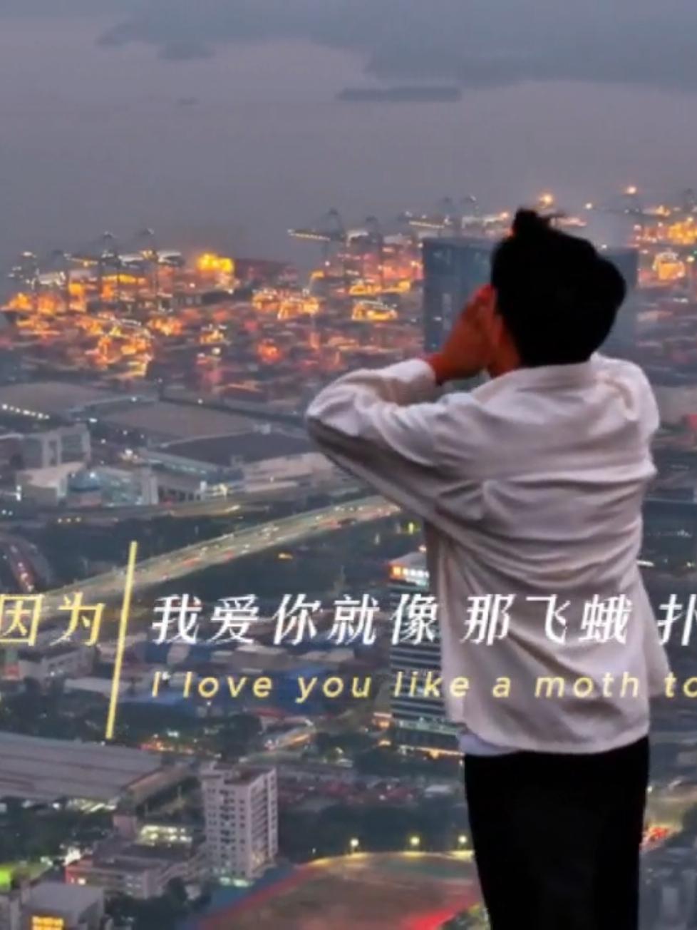 因为我爱你就像那飞蛾扑向火 #爱上你是一个错  #music #musicchinese #oldsong #capcut 