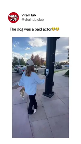 WAIT ✋ (cc: @Kyla Davidson ) #viralhub #fyp #viral #trending #funny #humor #waitdancechallenge #wait 