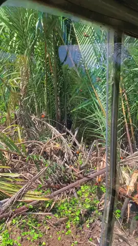 cuộc đời ngoài kia có sóng gió mấy thì trong này vẫn bình yên...