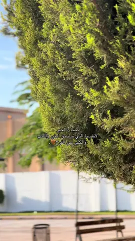 صباح الخير لأنفسنا التي تستحق الحب واكثر🤎. #صباح #ليبيا #تفاعل #تريند #صباح_الخير 