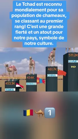 #tchadienne🇹🇩 #arabisaudi🇸🇦🇸🇦🇸🇦 #nigerienne🇳🇪✌🏻 #nigeriantiktok🇳🇬 #burkinatiktok🇧🇫 #malitiktok🇲🇱 #libya🇱🇾 #iran #iraq🇮🇶 #soumali #djiboutitiktok🇩🇯🇩🇯 #soudanaise🇸🇩🖤🔥 #qatar🇶🇦 #emirates #chameau 