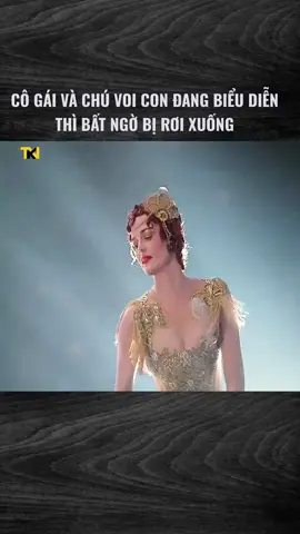 Chú voi biết bay 2019 #team99 #nhom99 #dreammarketing #trending #Reviewphim #phimmoi