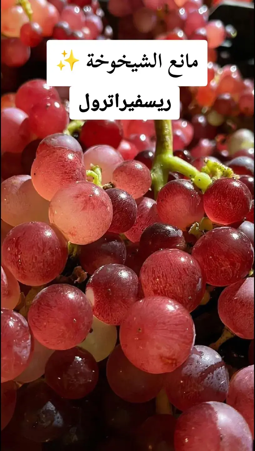 #عنب #فوائد_صحية #طبيب_تيك_توك #الدكتور_محمد_وسيم #صلوا_على_رسول_الله #علاج_طبيعي #explore #اكسبلور #fyp  #fry 