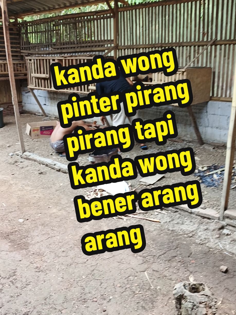 kanda wong pinter ta pirang pirang tpi kanda wong bener arang arang #khzaininadib #khzaininadibtegal 