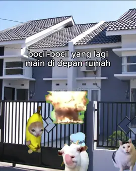 POV:ketika lu ingin tidur di hari minggu pagi #fyppppppppppppppppppppppp  #fyp  #fypシ゚  #memekucinglucu  #memekucing #mingguceria  #vidioviral  #vidiolucu 