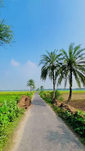গ্রামের প্রাকৃতিক সৌন্দর্য ❤️❤️🥀🥀 #foryou #foryoupage❤️❤️ #unfeezmyaccount #viral_video #tiktokviral #viralvideo #tranding #jessore #bangladesh @TikTok @#@TiktokBangldesh@# 