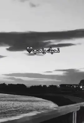 #الشعب_الصيني_ماله_حل😂😂  #تونسية_فلسطينية🇹🇳🇵🇸 