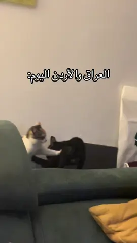 #iraq🇮🇶 #worldcup #fyp #العراق #football 