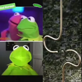 Bad kermit #kermit #kermitthefrog #kermitthepuppet #kermitontiktok #kermitcucmber #cucumber