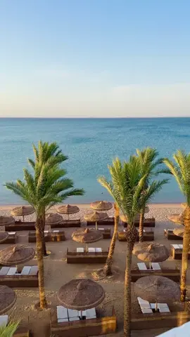 Bask in the sun and enjoy the red sea breeze at our luxurious beach, where every moment is a celebration of relaxation and leisure! For Reservations Please Contact Us Tel.: (+2) 0122 3260 700 or please send an email to: reservations@palmroyaleresort.com Website: www.palmroyaleresort.com #PalmRoyaleResort #luxury #aplacelikenoother #seaview #somabay #redsea #hurghada 
