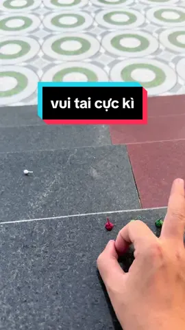 vui thì thôi hehhe #thuanchu #viennemcat 