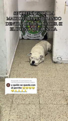 Respuesta a @Cecilia Esperanza Gómez López 