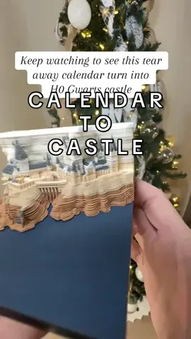 The light up feature is a must! #calendar #2025calendar #tiktokshopblackfriday #treasurefinds #uniquechristmasgifts #castlecalendar 