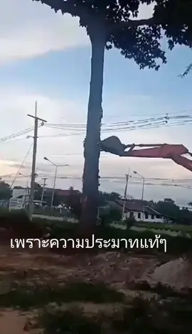 ล้มต้นไม้ทับเสาไฟแรงสูง