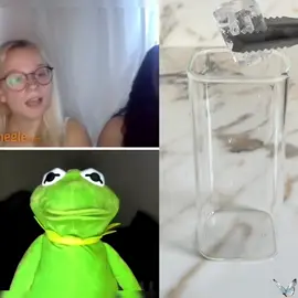Kermit’s 🥒 Compilation! 🤣🤣 #kermit #kermitthefrog #funny #prank #funnyvideos #meme #rizz #rizzler #fyp #kermitontiktok