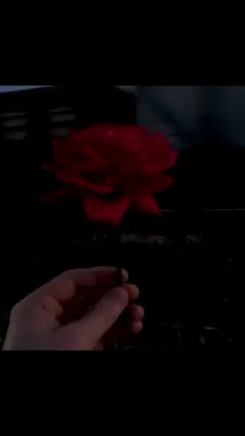 Gece midir insanı hüzünlendiren Yoksa insan mıdır hüzünlenmek için geceyi bekleyen? Gece midir seni bana düşündüren Yoksa ben miyim seni düşünmek için geceyi bekleyen? Özdemir Asaf | Gece midir Seni Bana Düşündüren  . . . . . . #özdemirasaf #özdemirasafşiirleri #özdemirasafsözleri #ozdemirasaf #şiir #edebiyat #gecemidirsenibanadüşündürenyoksabenmiyimsenidüşünmekiçingeceleribekleyen #aşk #sevgi #hasret 