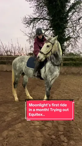 I’ll be very interested to see how Moonlight finds the pad over the next few rides as be comes back into work (again) but here are my first impressions!! From a very sensitive boy who always seems to have somehting worng with him…@Equitex #equestrian #equine #horsegirl #horsetok #equestrianvibes #horsesoftiktok #equestrianlife #fyp #fypシ゚ #abcxyz #foryou #xyzbcafypシ #horseriding #horsetiktok 