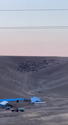 #حزن_غياب_وجع_فراق_دموع_خذلان_صدمة #اکسبور #هەرکی_و_هەمی_دنیا #مەلکێ 