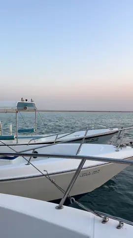 🌷🤍🤍🤍#fyp #explore #بحر #مالي_خلق_احط_هاشتاقات🧢 #اكسبلورexplore 