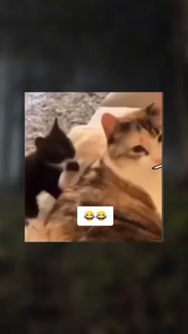 ආතල් විතරමයි😅 #funnyvideos😂 #meme #viral #trending #sinhalajoke #capcut_edit #foryou #fyppppppppppppppppppppppp #huaweiy6p  #srilankan_tik_tok🇱🇰 #inshot #funnymoments #huawei #huaweiy6p