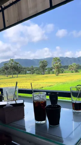 Cf Sáng Cảnh Chill Quê Tui #67angiang #shell 