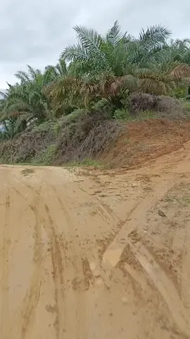 view landscape bukit tiga puluh⛰️ #fyp #lewatberandafyp #kebunsawit #kebunsawitsumatera #viral #flks 