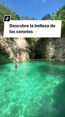 ✨ Tenemos tours en grupo todos los días desde Mérida Yucatán 🚐 Viajamos en camionetas modernas, limpias y con aire acondicionado.  📲 Contáctanos al (+52) 999 204 5234 ó (+52) 999 899 0868 . . . . . . . . #viajescolibriyucatan #Yucatán #meridaturistica #ViajeInolvidable #cenotes #cenotesyucatan #cenoteshomun #cenotesmexico 