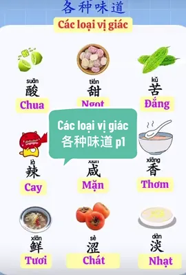 Các loại vị giác 各种味道 p1#TikTokAwardsVN #汉语不太难 #hoctiengtrungonline #每天一个故事 #hoctiengtrungquahinhanh #xiaohongshu #yeutiengtrung20 #汉语学习 #中国 #giaotieptiengtrung #CapCut #爱学习 #生活vlog 