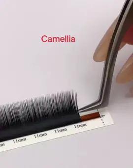 Camellia eyelashes from our factory. Support brand customization . . . #lashes #lashed #lashteach #lashgoals #classiclashes #flatlashes #instalashes #lashextensions #glamlashes #lashesvolume #lashesonfleek #lashstylist #lashtraining #lashshampoo #lashbox #houstonlashes #naturallashes #lashboss #russianvolume #lashtips #ellipselashes #hybridlashes #dollstagram #dollypartonchallenge #cahsmerelashes #lashoftheday #eyelashesextension