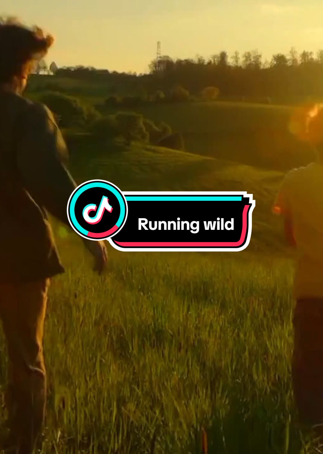 MY EARS ARE BLESSED 🎀 #runningwild #jin #bts #kpop #aesthetic #lyrics #foryoupage #foryou #fyp 