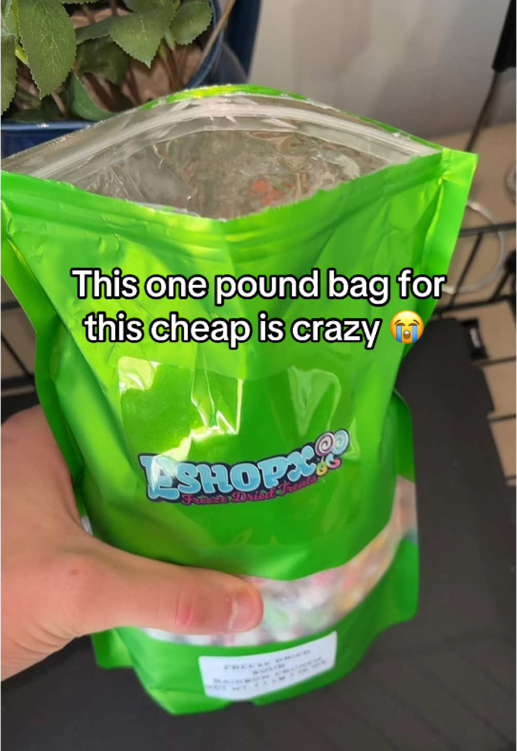 Best deal i could find #freezedried #freezedriedcandy #tiktokmademebuyit #hugesale #sale #tiktokshopblackfriday #tiktokshopcybermonday #candy 