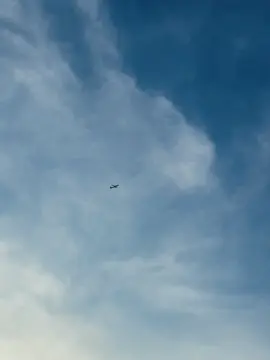 Alvida princess 💔 ##typ##foryou