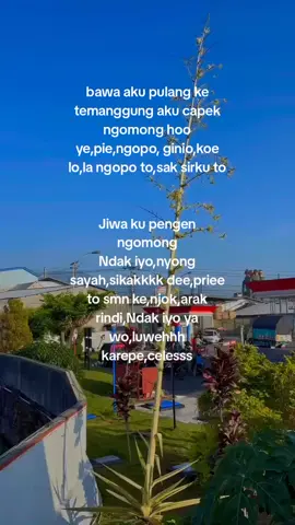 #fyppppppppppppppppppppppp #temanggung24jam #temanggungbersenyum 