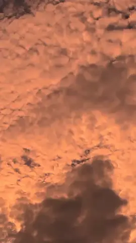 :wedding nasheed🤍#withoutmusic  #arabicmusic #aesthetics #senja #lewatberanda #vibes #foryoupage #fyp 