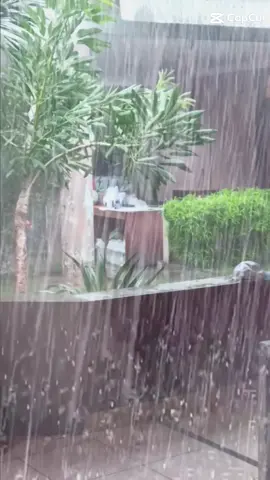 ketika Hujan dan petir dirumah sendirian, boro boro baca solawat yang ada rasa takut gak karuan#hujan 