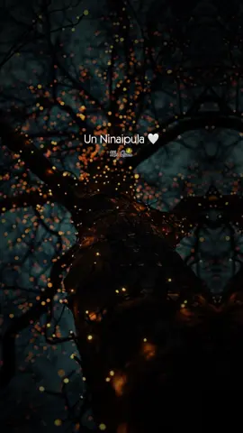 #unnenappula #lovesongstatus #unnenappulanaavazha #loveyou #ithuvarananpaththilla #lovesong #kannilneevandhukadhapesa #bgm #kannilneevanthu #Love #ulagamellamee #lovesongcovers #tamil #tamilmuser #tamilsong #tamiltiktok #lovestatus #song #songs #songlyrics #video #videoviral #videos #tamilsong #whatsupstatus #viralvideo #lovewhatsappstatus #viral #viraltiktok #viral_video #tendingvideo #tending #tendingsong #lovesongtamil 