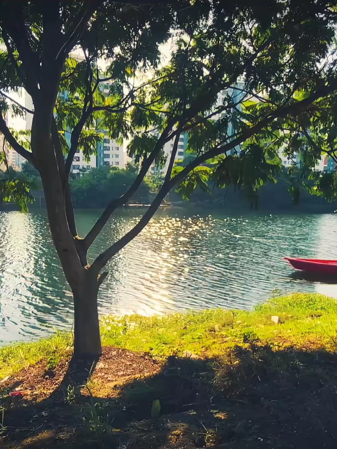 কাউকে ভুলভাল জাজ করার আগে তার পরিস্থিতিটা একটু জানতে চেষ্টা করবেন। কারও মুখের হাসি দেখে অনায়েসে ভেবে বসবেন না মানুষটা দিব্যি সময় পার করছে। কেউ যদি আপনাকে তার মন খারাপের কথা বলে সাথে সাথেই তাকে উপদেশ দেওয়ার জন্য ব্যস্ত হয়ে পড়বেন না। একটু সময় নিয়ে মনোযোগ দিয়ে তার কথাগুলো শুনুন। তার অনুভূতি কিংবা মানসিক অবস্থাটা একটু বুঝতে চেষ্টা করুন। কাঁধে একটু হাত রাখুন, পারলে জড়িয়ে ধরে একটু কাঁদতে দিন। বিশ্বাস করুন; আপনার উপদেশের চেয়ে এইটুকু সান্তনা তাকে অনেকটা ভরসা দিবে, স্বস্তি দিবে, শান্তি দিবে। মানুষ সবার সাথে থেকেও একা হয়ে যায়। যখন কেউ তাকে বুঝতে পারে না, তার মিথ্যে হাসির কারণ খুঁজতে চেষ্টা করে না। বন্ধুমহল দাঁপিয়ে বেড়ানো কিংবা আড্ডায় সবার মধ্যমনি হয়ে থাকা মানুষটাও হয়তো একা হয়ে ঘরে ফিরে। সে গল্প আপনি জানেন না। আসলে মানুষকে বাহিরে থেকে দেখে অনেক কিছুই বুঝা যায় নাহ। কিংবা খুব বেশি কাছে এসেও আমরা শূন্যতা টের পাই না তার জন্য বিশেষ কেউ হতে হয়। ভিড়ের বাহিরে গিয়ে মানুষটাকে জানতে হয়, আলাদাভাবে খুঁজতে হয়, ব্যস্ত জীবন থেকে কিছু অবসরের বিকেল ধার নিয়ে মানুষটার সমস্ত গল্পগুলো জানতে হয়। বিধ্বস্ত, বিষন্নতায় একটুখানি যত্নের প্রলেপ দিয়ে পাশে থাকতে হয়। অর্থের শূন্যতায় মানুষ ভেঙে পড়ে। আর যত্নের শূন্যতায় মানুষ বেঁচে থেকেও রোজ মরে যায়। নিজেকে বুঝাতে না পারার ব্যর্থতা কিংবা কাউকে না বুঝতে পাড়ার সীমাবদ্ধতায় মানুষ একা হয়ে যায়। মানুষ বেশি কিছু চায় না আসলে! বুঝার মতো মন চায়, হারিয়ে গেলে খুঁজার মতো মানুষ চায়, ভেঙে পড়ার দিনগুলোতে মাথা রাখার নির্দিষ্ট একটা কাঁধ খুঁজে। একটু মনোযোগ, একটু সান্ত্বনা আর একটু যত্ন মানুষের খুব বেশি আর কিই বা চাওয়ার থাকে! অথচ তাই যেনো আরাধ্য সাধনা। কারও জন্য যদি সত্যিই কিছু করতে হয় বা কাউকে যদি খুব বিশেষ কিছু দিতে ইচ্ছে হয় তবে তাকে তার মতো করে খানিকাটা বুঝতে চেষ্টা করিয়েন। অন্য সবার মতো অল্পতেই তাকে জাজ করিয়েন না। এইটুকুই তার জন্য অনেক বড় পাওয়া হবে। অনেক। 🙂🖤 #foryou #foryoupage #viral #videography #team_of_fx #fxmaruf09 
