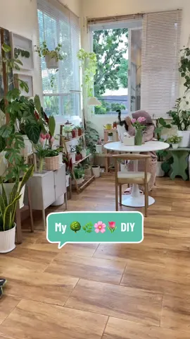 Semua akan suka tanaman dan warna hijau pada waktunya 😂  🌿🪴🌸🌱🌷 #plants #roomdecor #DIY #diyer #crafts #crafters #creativity #fypシ゚ 