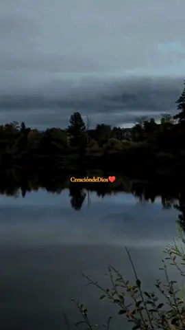 No Quiero Más . . . . . . . #noquieromas #billylaboy #adoracion #adoracioncristiana #musicacristiana #cancioncristiana #yhwh #fyp #parati #creaciondedios🐑❤️ #creacionddios👑 #hagamosviralajesus #jesuslovesyou #jesus #Dios 