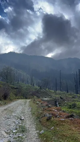 Life is what you make it ❤️💐 #fyp #nature #foryoupage #naturelover #peaceful #view #rasuwa #magar #❤️ 