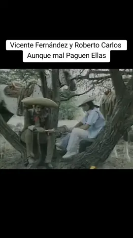 Aunque Mal Paguen Ellas  Vicente Fernández y Roberto Carlos  #robertocarlos #aunquemalpaguenellas #olvidar #suamor #alma #herida #rancho #rancheras #romantica  #suscribete #dalemegusta #comparte #vicentefernández #peliculascompletas #1981 #VicenteFernandez #juanarmenta #corridos #documental #guatemalteco #rancheros #rancherosmexicanos #micamino #joseyol #aunquemalpaguenellas #mental #rancho #histori #historia