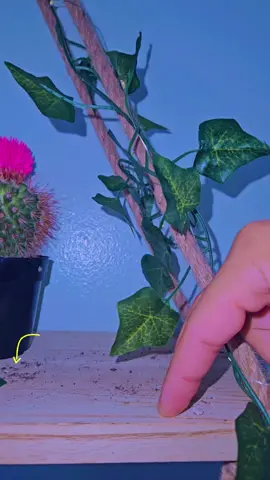 #stitch with @TheRealJoshB_ 