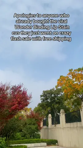 BlackFriday More than 40% off discount and don’t miss it#treasurefinds #blackfridaydeals #christmas #blackfriday #tiktokmademebuyit #christmasgift #blackfridayearlydeals #tiktokshopcybermonday #tiktokshopblackfriday 